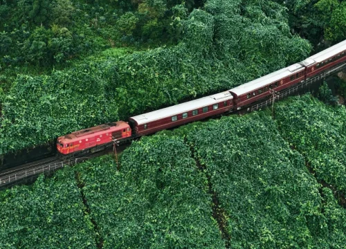 SJourney: Vietnam’s First Heritage Train Journey Officially Launched 44 SJourney: Vietnam’s First Heritage Train Journey Officially Launched