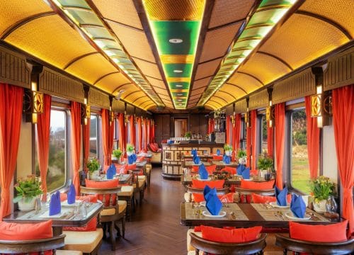 Evening A Culinary Farewell Beneath a Starlit Sky