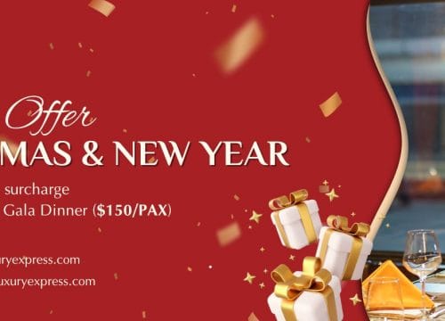 Christmas & New Year Special Offer 2025 4 Christmas & New Year Special Offer 2025