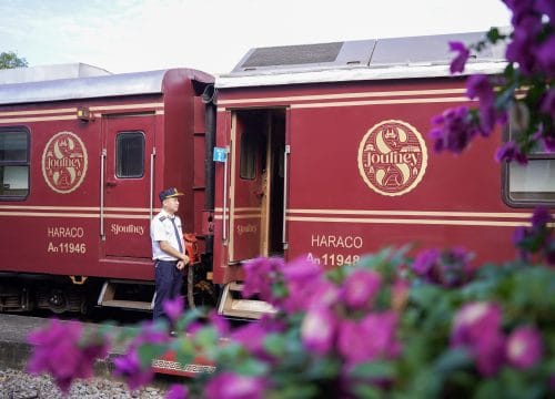 Phan Thiet Winter: Your Ultimate Guide to a Tropical Escape 47 Phan Thiet Winter: Your Ultimate Guide to a Tropical Escape