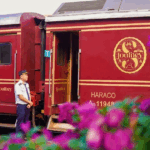 hue to da nang by luxury train