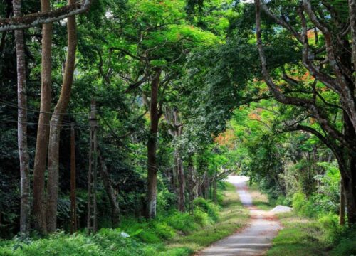 Ninh Binh National Park – A Complete Guide to Vietnam’s Natural Wonder
