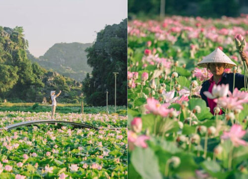 Best Time to Visit Ninh Binh – When to Go for the Perfect Experience 19 Best Time to Visit Ninh Binh – When to Go for the Perfect Experience