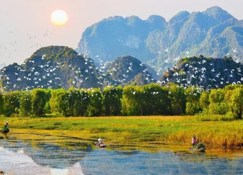 Bird Valley Ninh Binh: Discover the Magic of Thung Nham Bird Park