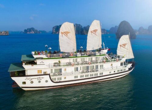 Halong Bay Cruise - The Ultimate Choosing Guide 2 Halong Bay Cruise – The Ultimate Choosing Guide