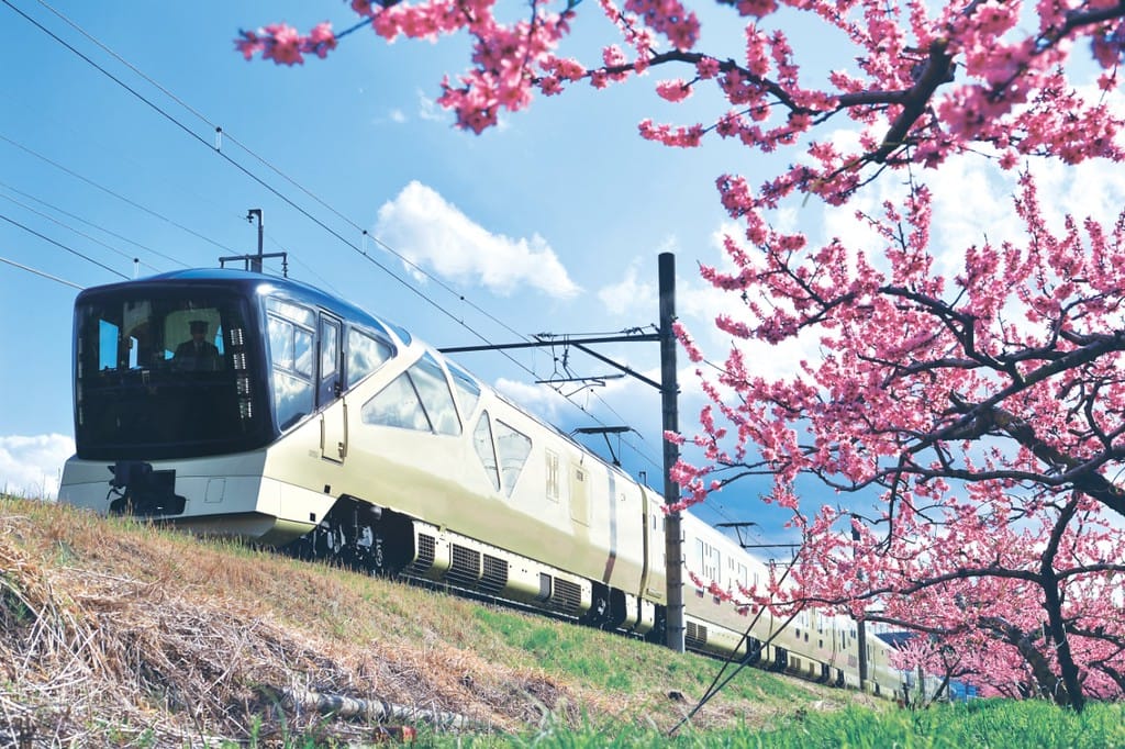 japanese luxury train with cherry blossom
